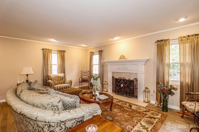 17 Morningside Dr, Old Bridge, NJ 08857 - living area with a wealth of natural light, baseboards, and wood finished floors