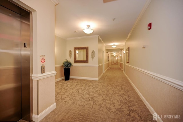 hallway with baseboards, ornamental molding, light colored carpet, and elevator