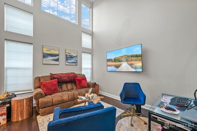 living room with wood-type flooring and a high ceiling