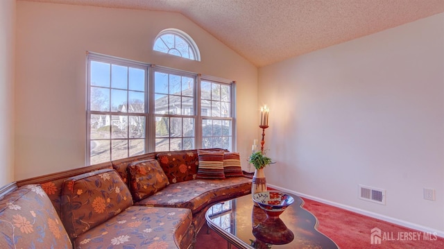 living room with carpet floors, a textured ceiling, and lofted ceiling