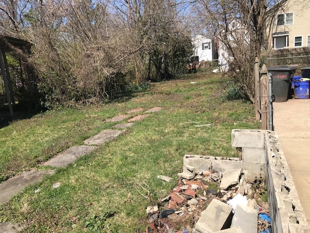 175 Hamilton St, New Brunswick, NJ 08901 - photo 3
