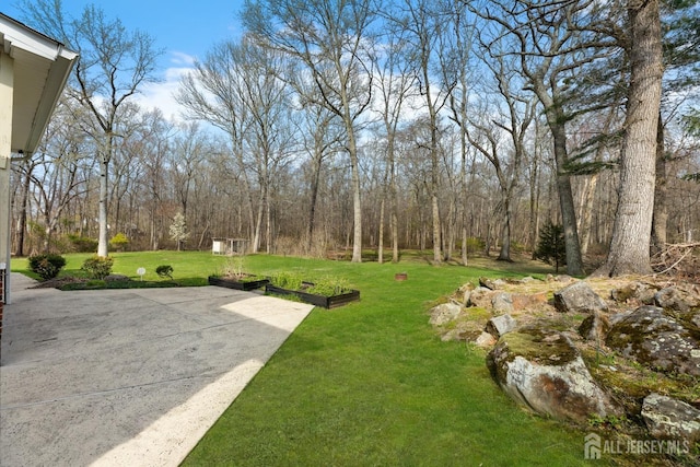 46 Thomas St, Monroe, NJ 08831 - view of green lawn