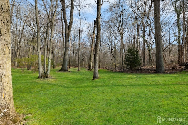 46 Thomas St, Monroe, NJ 08831 - view of green lawn