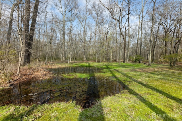 46 Thomas St, Monroe, NJ 08831 - view of green lawn