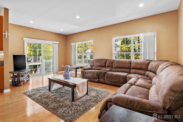 living room with light wood-type flooring