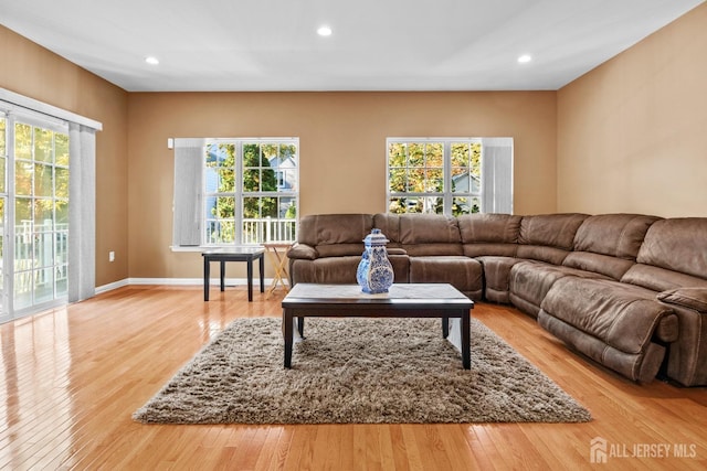 living room with light wood-type flooring and plenty of natural light