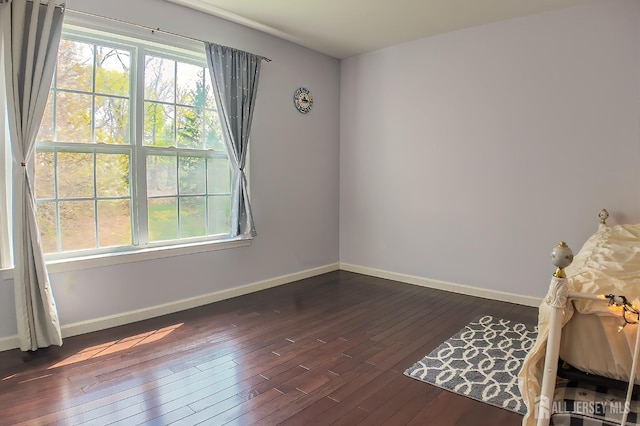 47 Bay Hill Blvd, Monroe, NJ 08831 - unfurnished room with healthy amount of natural light and dark wood-style flooring