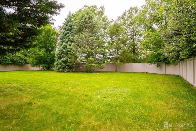 7 Sequoia Dr, South Brunswick, NJ 08810 - view of yard