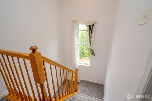 7 Sequoia Dr, South Brunswick, NJ 08810 - stairs featuring carpet and baseboards