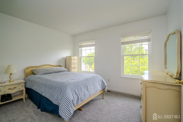 7 Sequoia Dr, South Brunswick, NJ 08810 - bedroom featuring baseboards and carpet floors