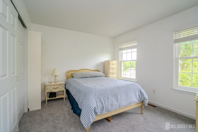 7 Sequoia Dr, South Brunswick, NJ 08810 - carpeted bedroom with multiple windows, a closet, and baseboards
