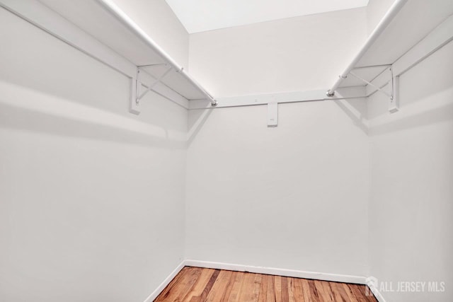 402 N Cranbury Rd Unit 8, East Brunswick, NJ 08816 - walk in closet with wood finished floors