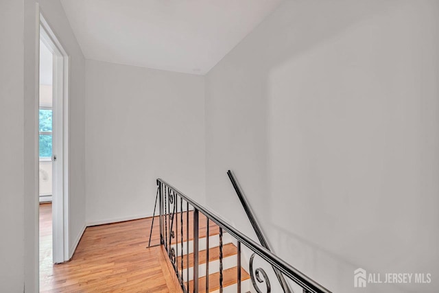 402 N Cranbury Rd Unit 8, East Brunswick, NJ 08816 - stairway with wood finished floors and baseboard heating