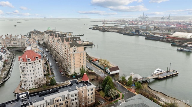 100 Shearwater Ct Unit 31, Jersey City, NJ 07305 - photo 38
