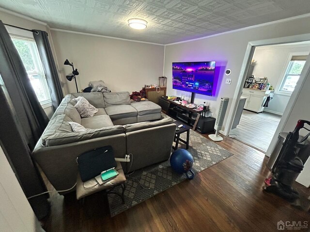 living room featuring hardwood / wood-style floors, crown molding, and a healthy amount of sunlight