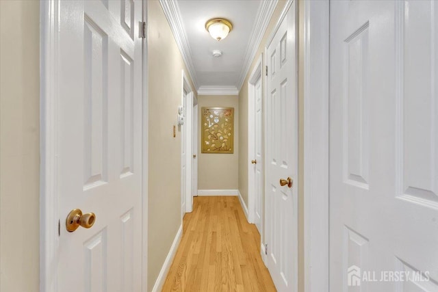 13 Sheffield Ave, Monroe, NJ 08831 - hall featuring light wood-style floors, ornamental molding, and baseboards