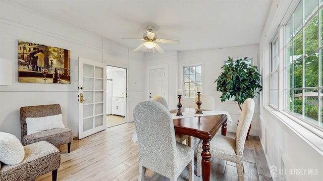 13 Prospect St, Metuchen, NJ 08840 - dining room featuring plenty of natural light, a ceiling fan, and light wood-style floors