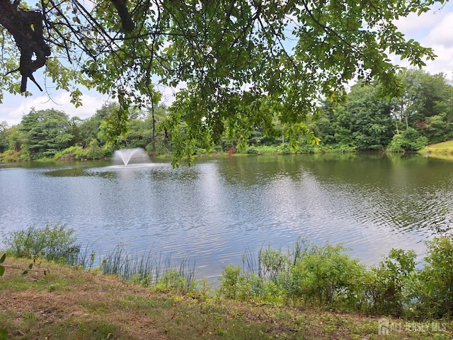581 Old Nassau Rd Unit B, Monroe, NJ 08831 - photo 32