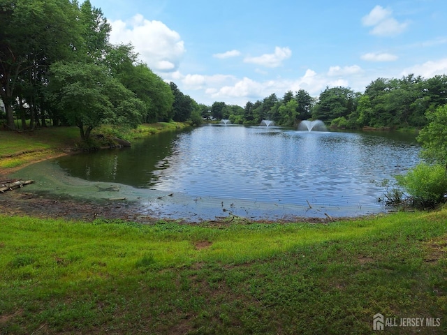 581 Old Nassau Rd Unit B, Monroe, NJ 08831 - photo 4