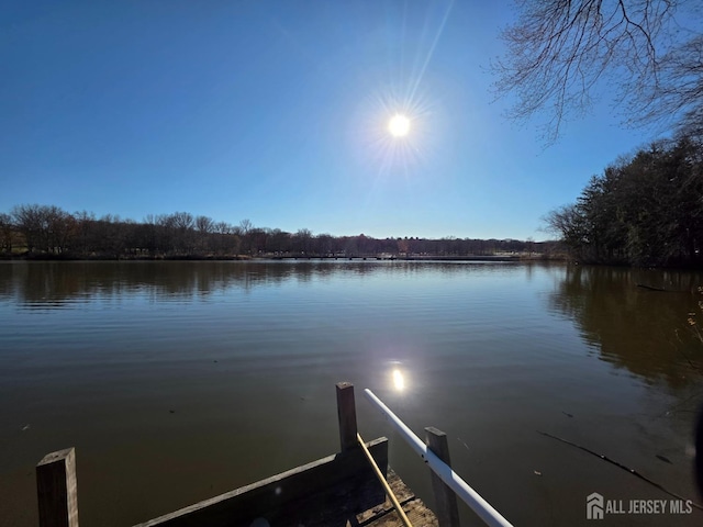 144 Buckelew Ave, Jamesburg, NJ 08831 - dock with a water view