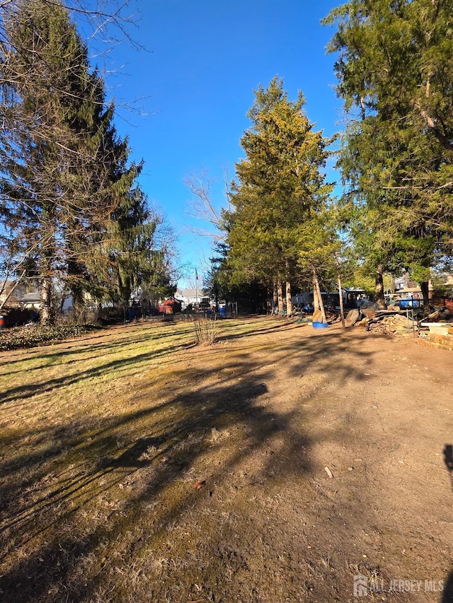 144 Buckelew Ave, Jamesburg, NJ 08831 - view of yard