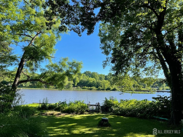 144 Buckelew Ave, Jamesburg, NJ 08831 - water view
