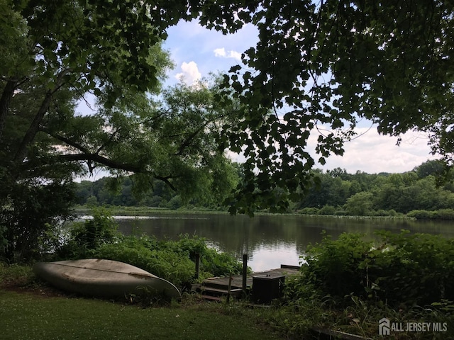 144 Buckelew Ave, Jamesburg, NJ 08831 - water view featuring a heavily wooded area