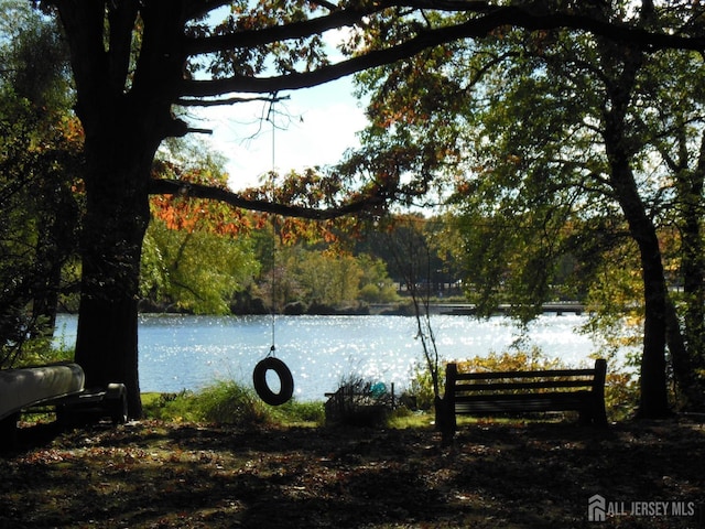 144 Buckelew Ave, Jamesburg, NJ 08831 - water view featuring a forest