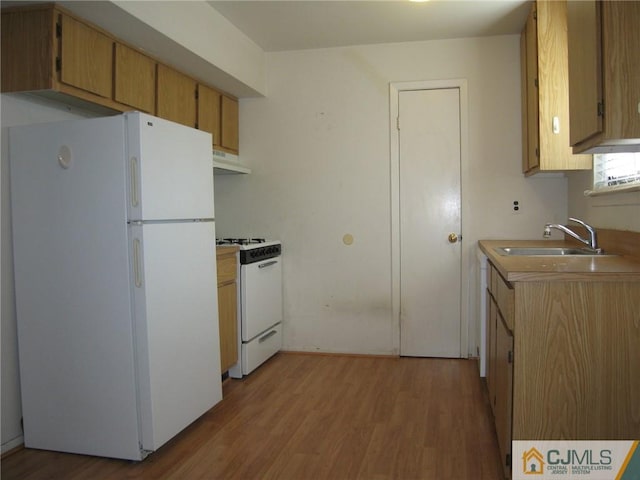 kitchen with sink, wood-type flooring, and white appliances