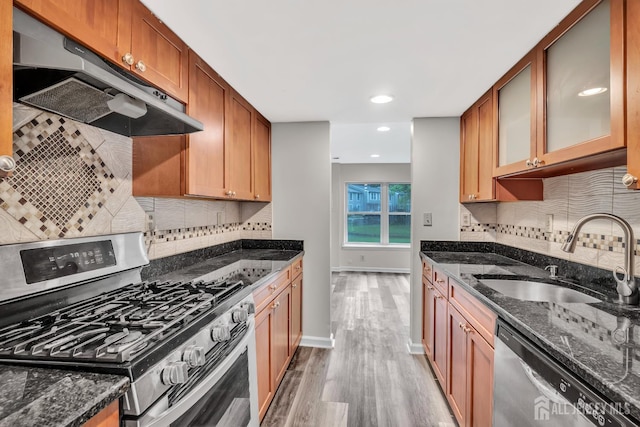 73 Doe Ct, South Brunswick, NJ 08852 - kitchen featuring appliances with stainless steel finishes, a sink, under cabinet range hood, light wood-style floors, and backsplash