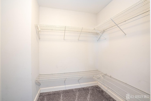 walk in closet with carpet