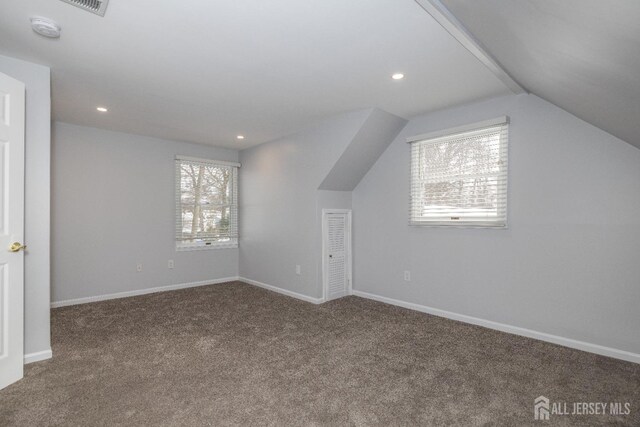 additional living space featuring vaulted ceiling, carpet, and a wealth of natural light