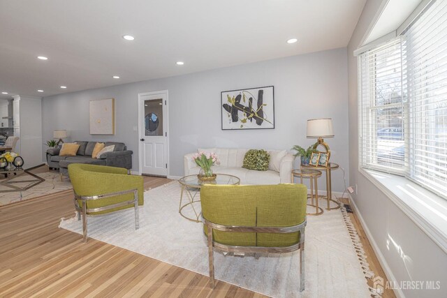 living room featuring wood-type flooring and a wealth of natural light