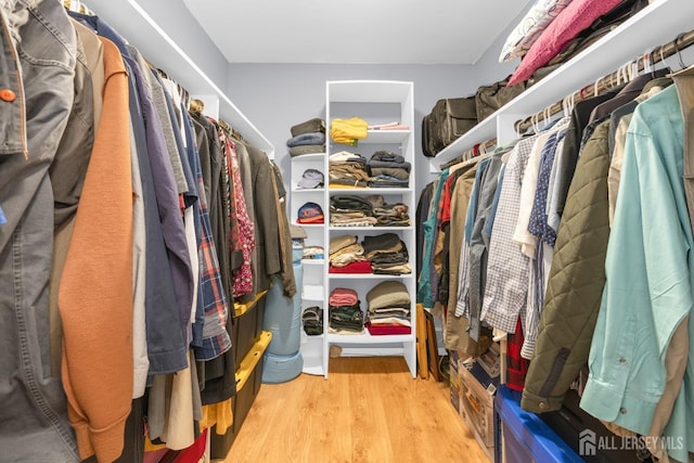 walk in closet with wood finished floors