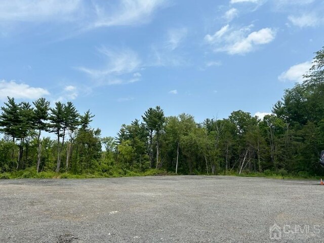 474 Rt 22nd Hwy, Readington, NJ 08889 - photo 5