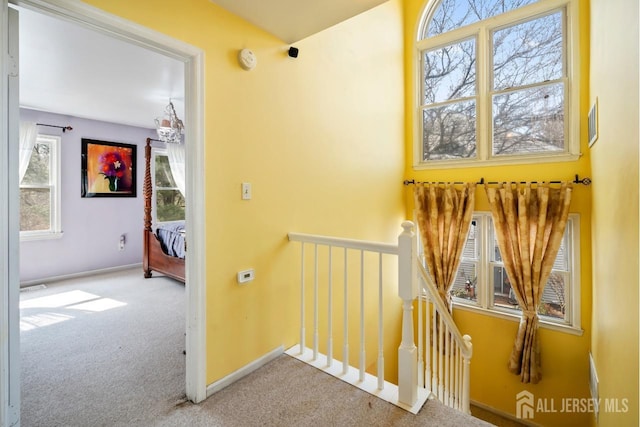 stairway featuring baseboards and carpet floors