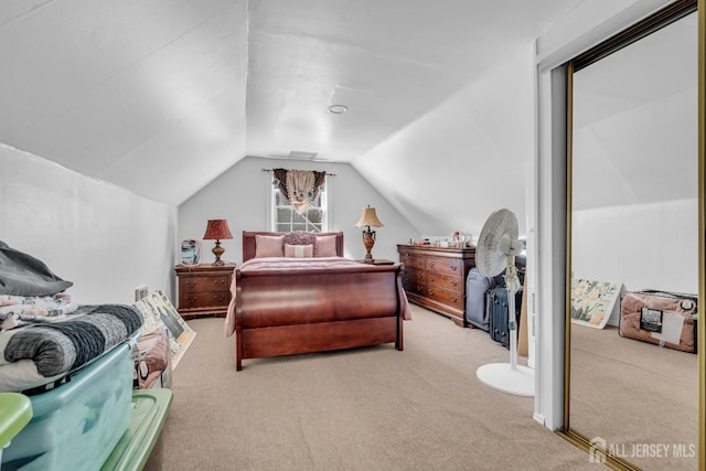 750 Barry Ave, Perth Amboy, NJ 08861 - bedroom featuring vaulted ceiling, carpet flooring, and a closet