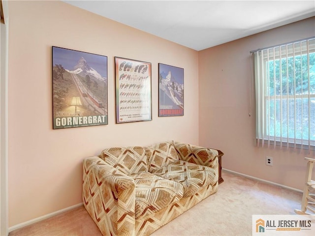 46 Buttonwood Dr, East Brunswick, NJ 08816 - photo 19