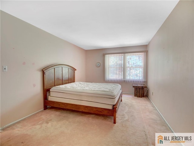 46 Buttonwood Dr, East Brunswick, NJ 08816 - photo 18