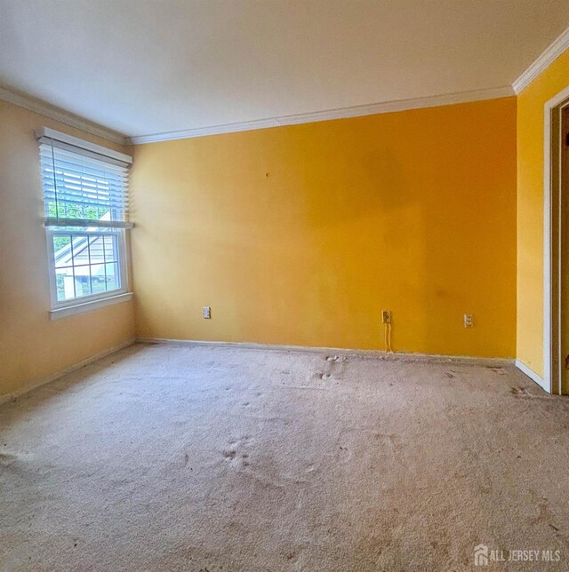 8 Starlight Ct, New Brunswick, NJ 08901 - photo 4