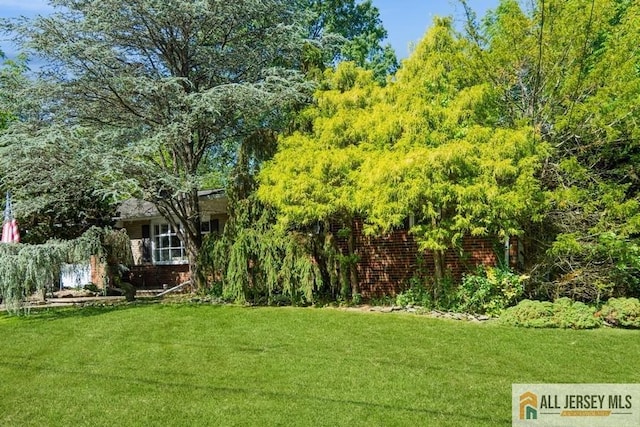 57 Jensen St, East Brunswick, NJ 08816 - view of green lawn