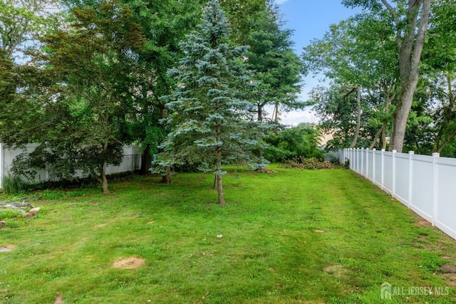 1775 W 5th St, Piscataway, NJ 08854 - view of yard
