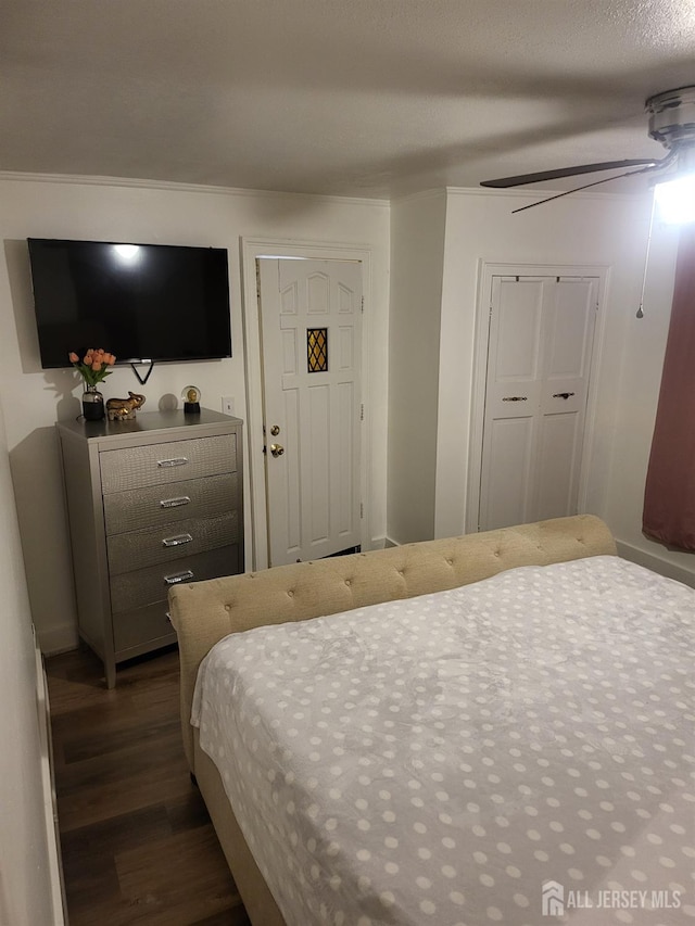 72 High St, Perth Amboy, NJ 08861 - bedroom with dark wood-style floors and ceiling fan
