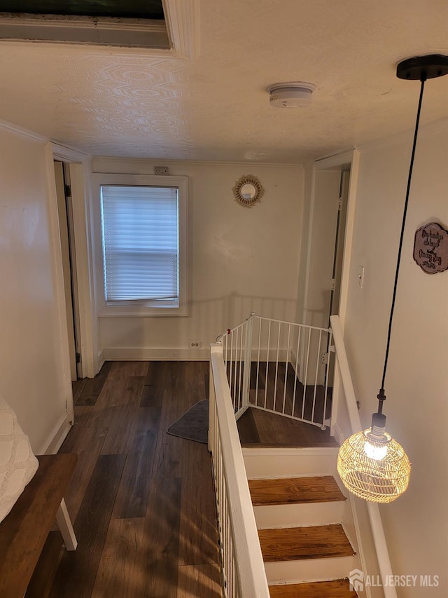 72 High St, Perth Amboy, NJ 08861 - stairway featuring wood finished floors and baseboards