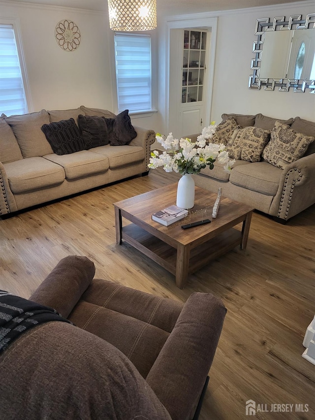 72 High St, Perth Amboy, NJ 08861 - living room featuring ornamental molding and wood finished floors