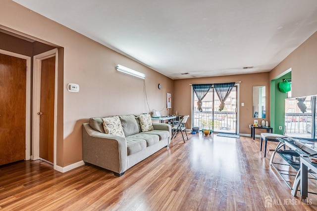 living room with wood-type flooring