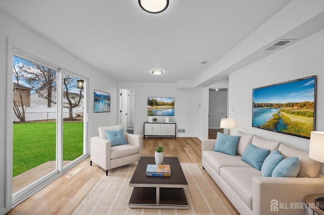 living room with light hardwood / wood-style floors