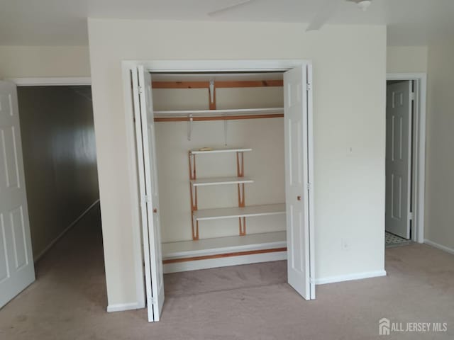 304 Woodbridge Commons Way, Iselin, NJ 08830 - view of closet