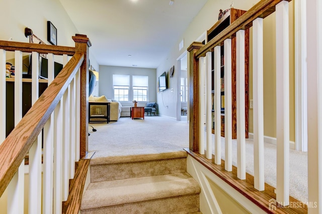 1005 Station Rd, Somerville, NJ 08876 - photo 29
