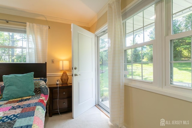bedroom featuring light carpet, access to outside, and crown molding